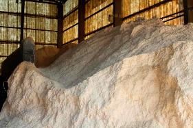 Skladování pilin pro výrobu kvalitních pelet.