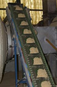 Doprava pilin do lisu pro výrobu pelet.